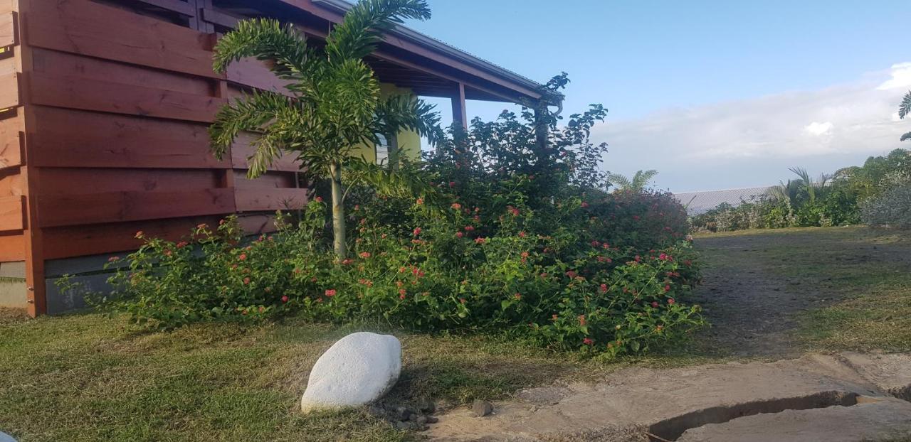 L'Alizee & Spa Jacuzzi Privatif Haut De Gamme Sainte-Rose Exteriér fotografie